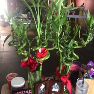 Meet your Posher, Bety